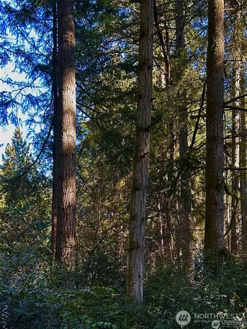 a view of a house with a garden