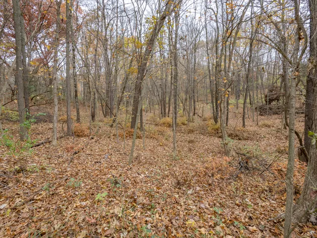 $455,000 | 11265 East H J Avenue, Galesburg, MI 49053