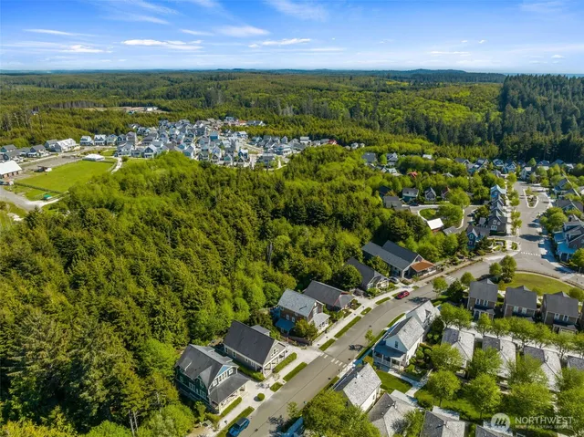 an aerial view of residential houses with outdoor space and trees