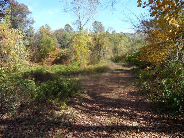 Lot 3 Wales Road Monson, MA 01057 - Photo 7 of 25