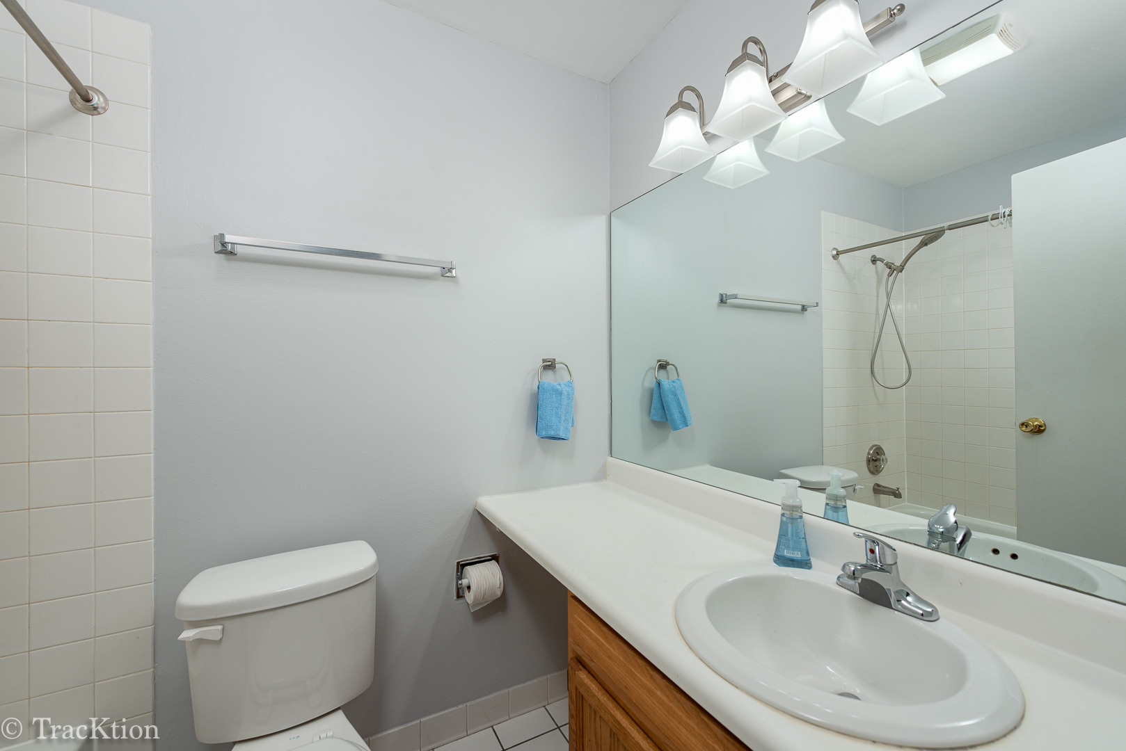 1833 Four Lakes Avenue, Unit 4H Lisle, IL 60532 - Photo 7 of 11