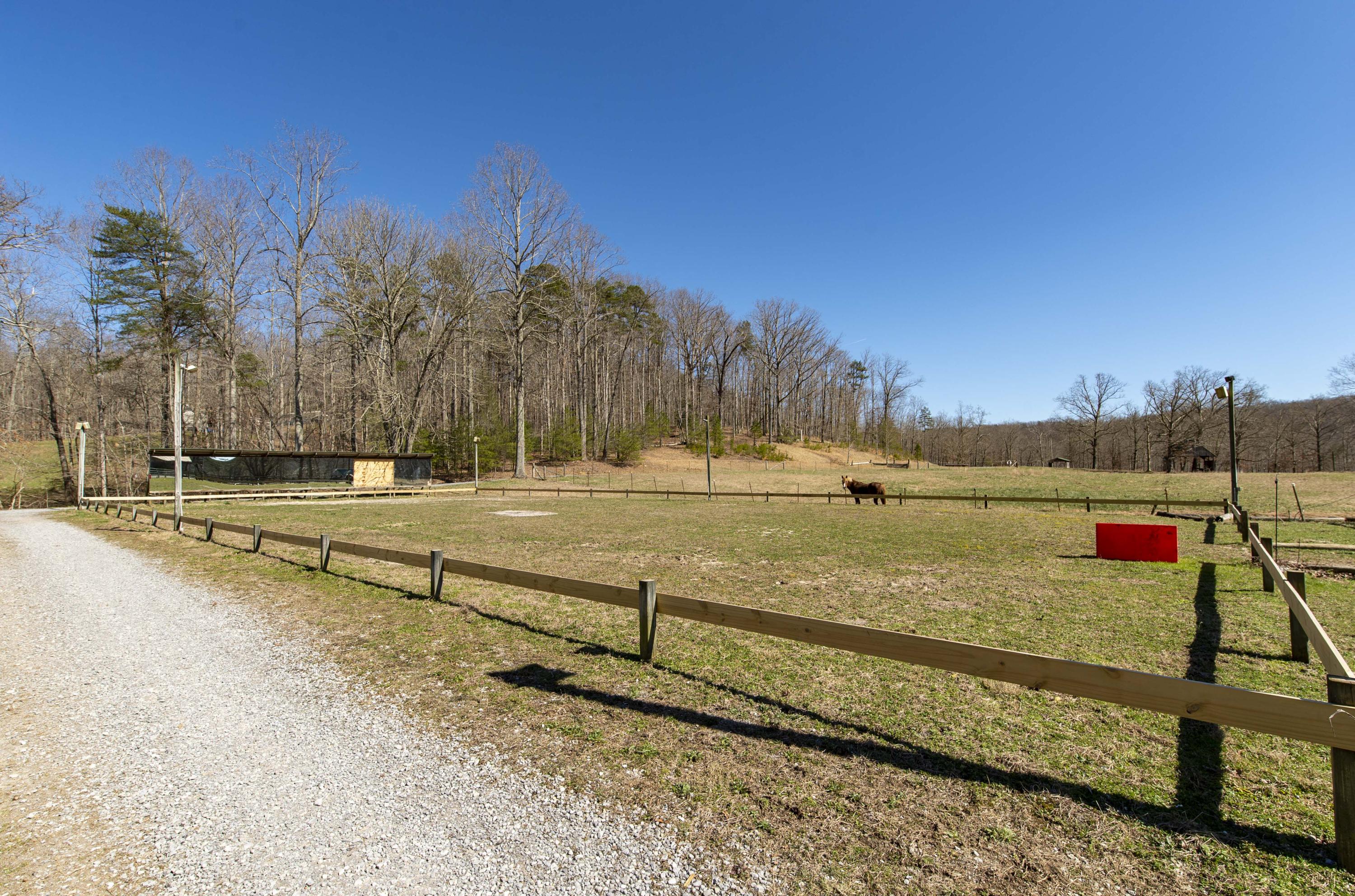 570 Maple Branch Road Signal Mountain, TN 37377 - Photo 61 of 80 _MG15460
