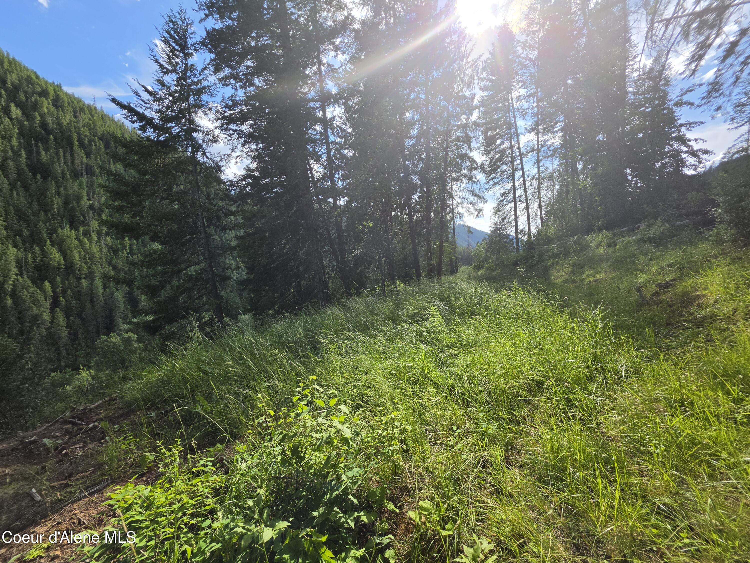 480 Dunn Peak Road Avery, ID 83802 - Photo 36 of 66 2nd Building site