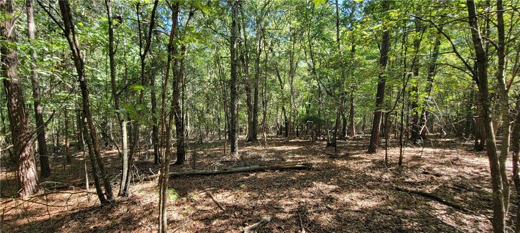 a view of outdoor space with trees