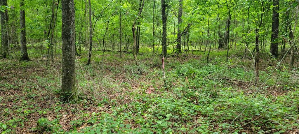 5 Ripplewood Trail Euharlee, GA 30145 - Photo 2 of 14 a view of outdoor space and trees