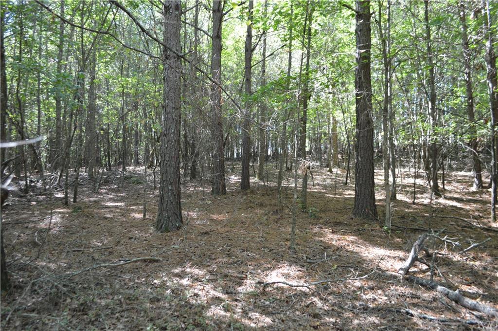 5 Ripplewood Trail Euharlee, GA 30145 - Photo 4 of 14 a view of outdoor space and trees