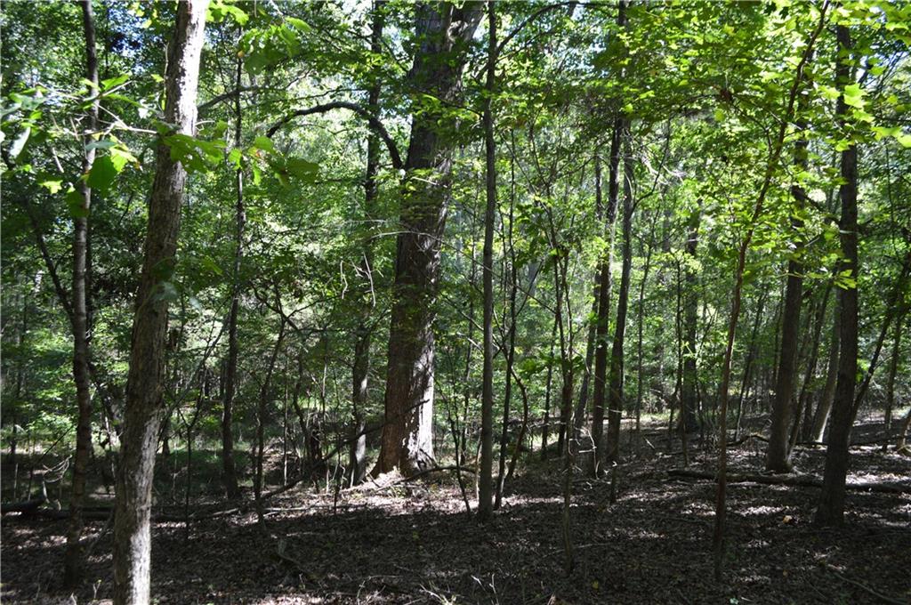 5 Ripplewood Trail Euharlee, GA 30145 - Photo 6 of 14 a view of forest