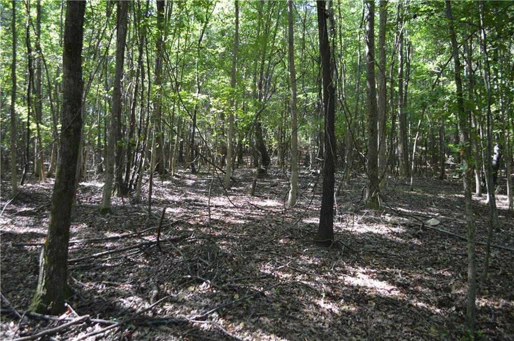 5 Ripplewood Trail Euharlee, GA 30145 - Photo 7 of 14 a view of outdoor space and trees
