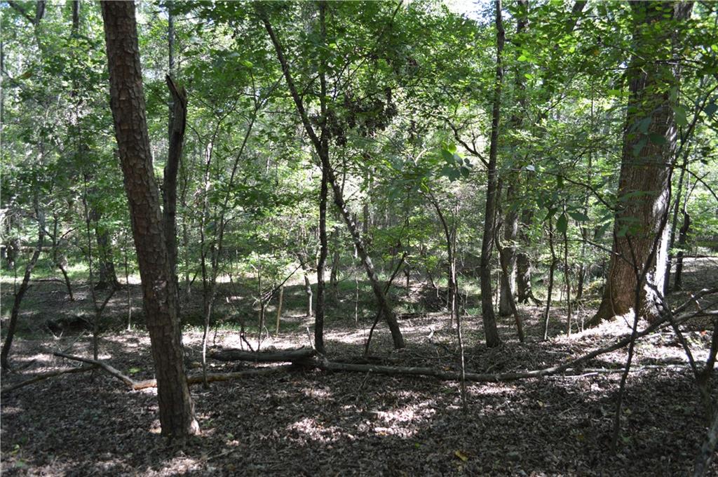 5 Ripplewood Trail Euharlee, GA 30145 - Photo 8 of 14 a view of outdoor space and trees