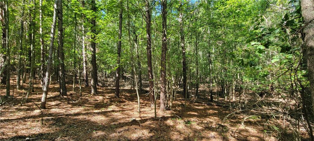 5 Ripplewood Trail Euharlee, GA 30145 - Photo 9 of 14 a view of outdoor space and garden