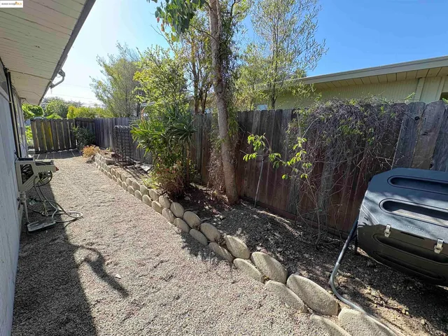 a view of backyard with potted plants