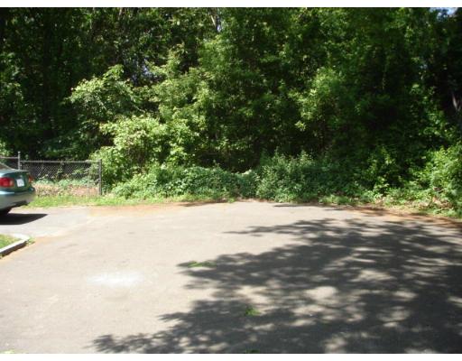 72 Glencoe Street Springfield, MA 01104 - Photo 3 of 3 a view of a yard with a tree