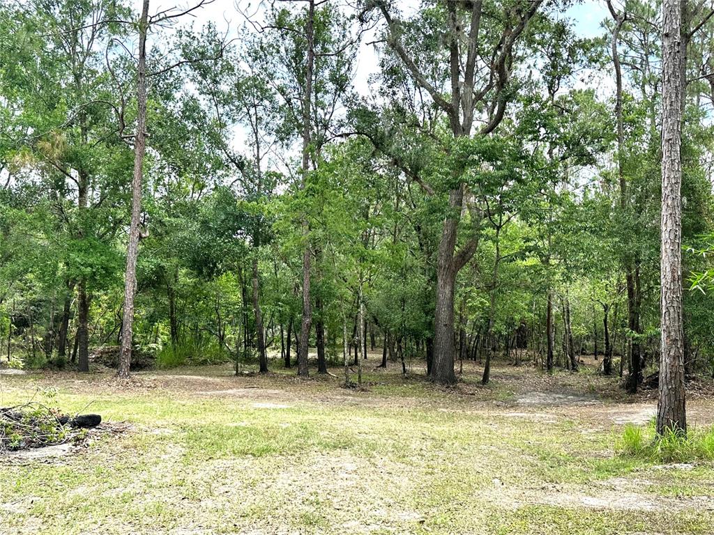 5404 Northeast River Bend Road Arcadia, FL 34266 - Photo 1 of 1 Gallery Image 1