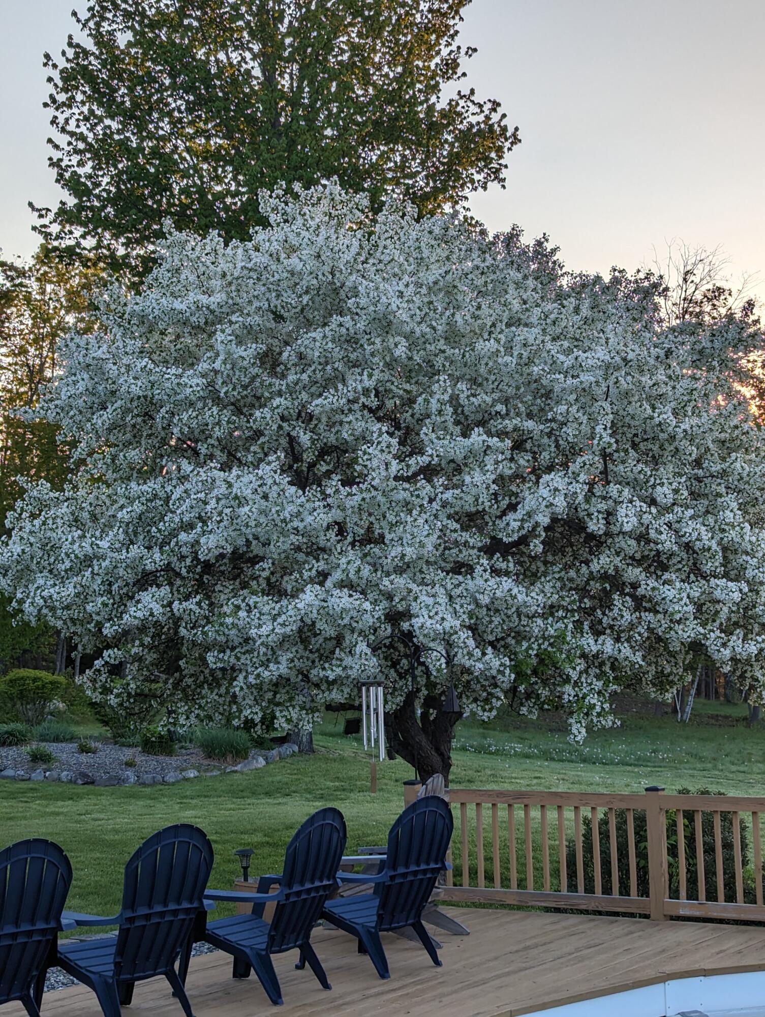 211 Waterville Road Belfast, ME 04915 - Photo 4 of 62 PXL_20230523_093930222