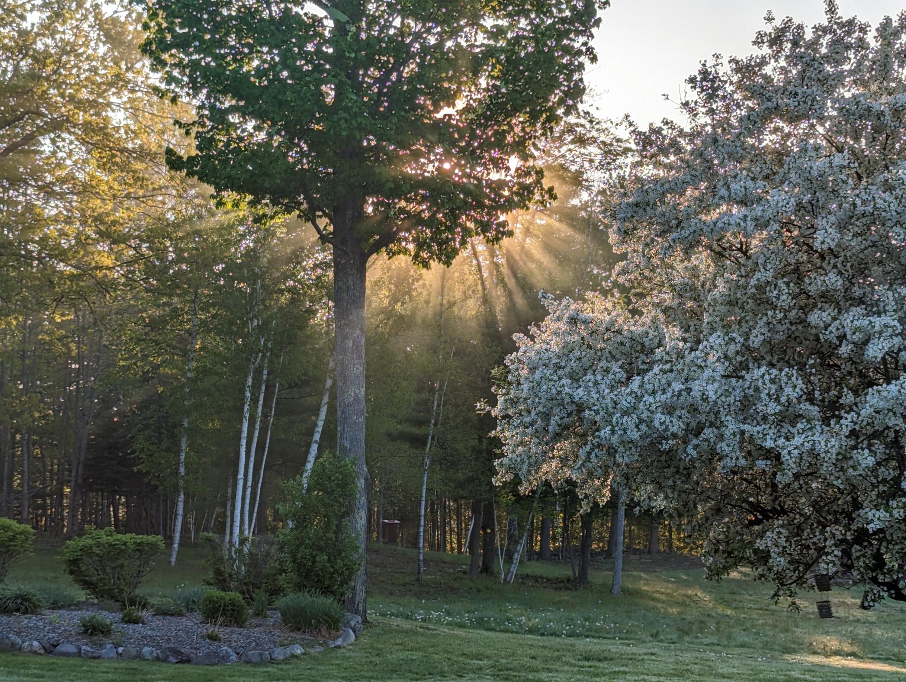 211 Waterville Road Belfast, ME 04915 - Photo 5 of 62 PXL_20230523_100037111