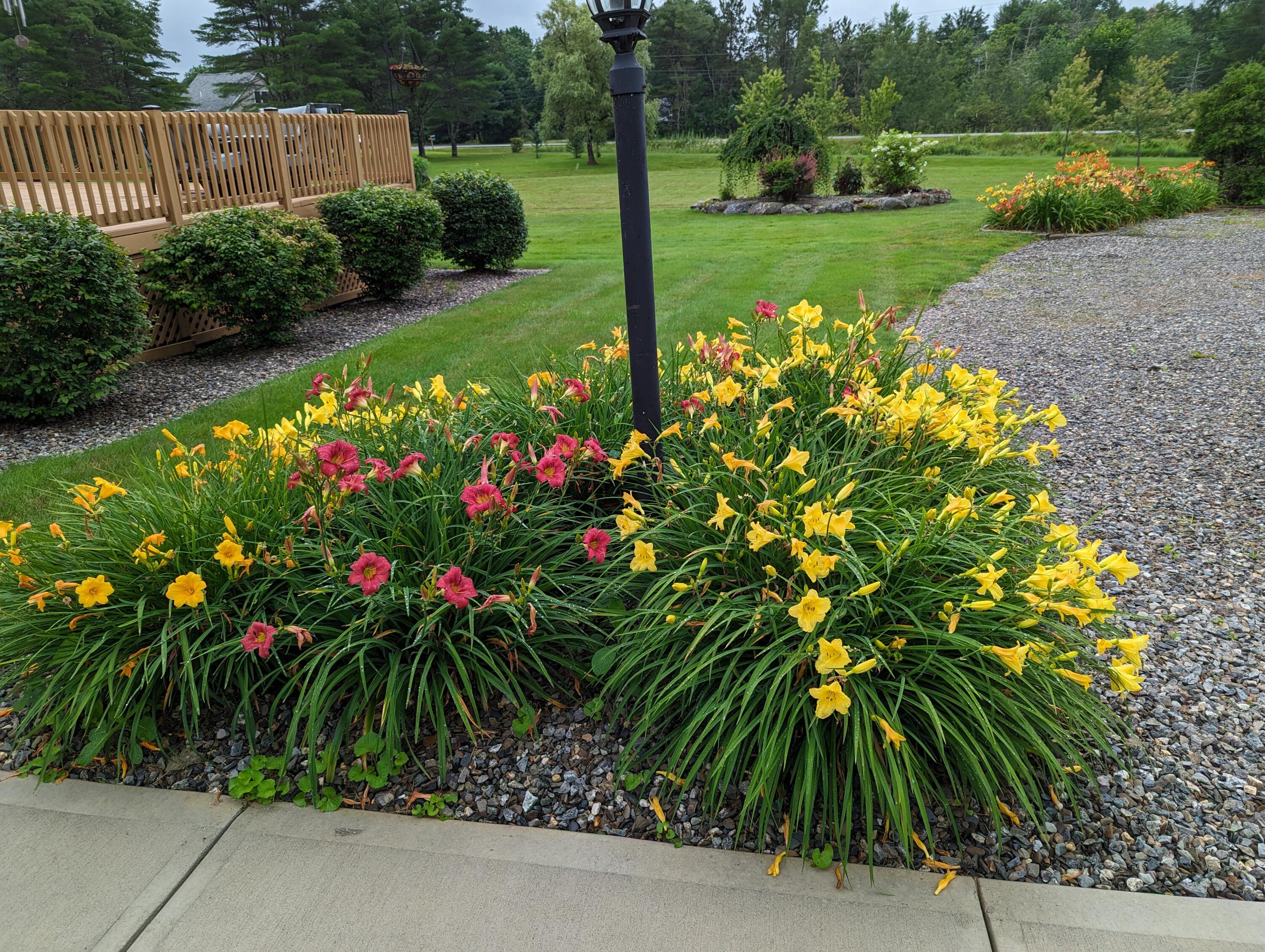 211 Waterville Road Belfast, ME 04915 - Photo 7 of 62 PXL_20230716_153651403