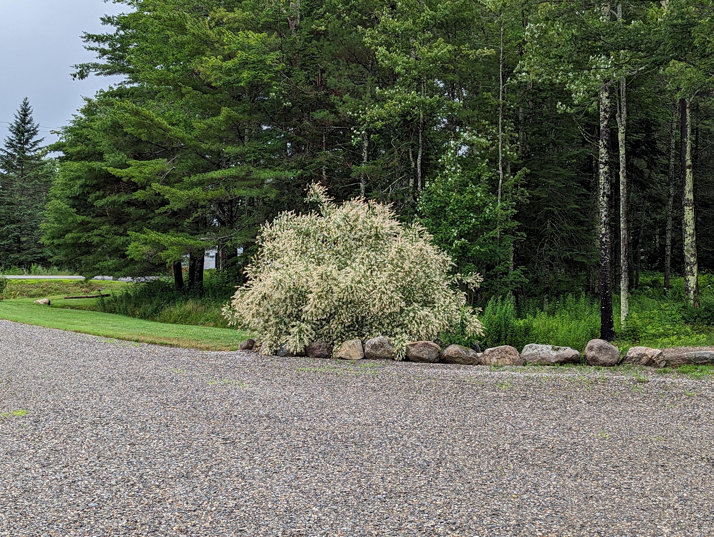 211 Waterville Road Belfast, ME 04915 - Photo 8 of 62 PXL_20230716_153717721