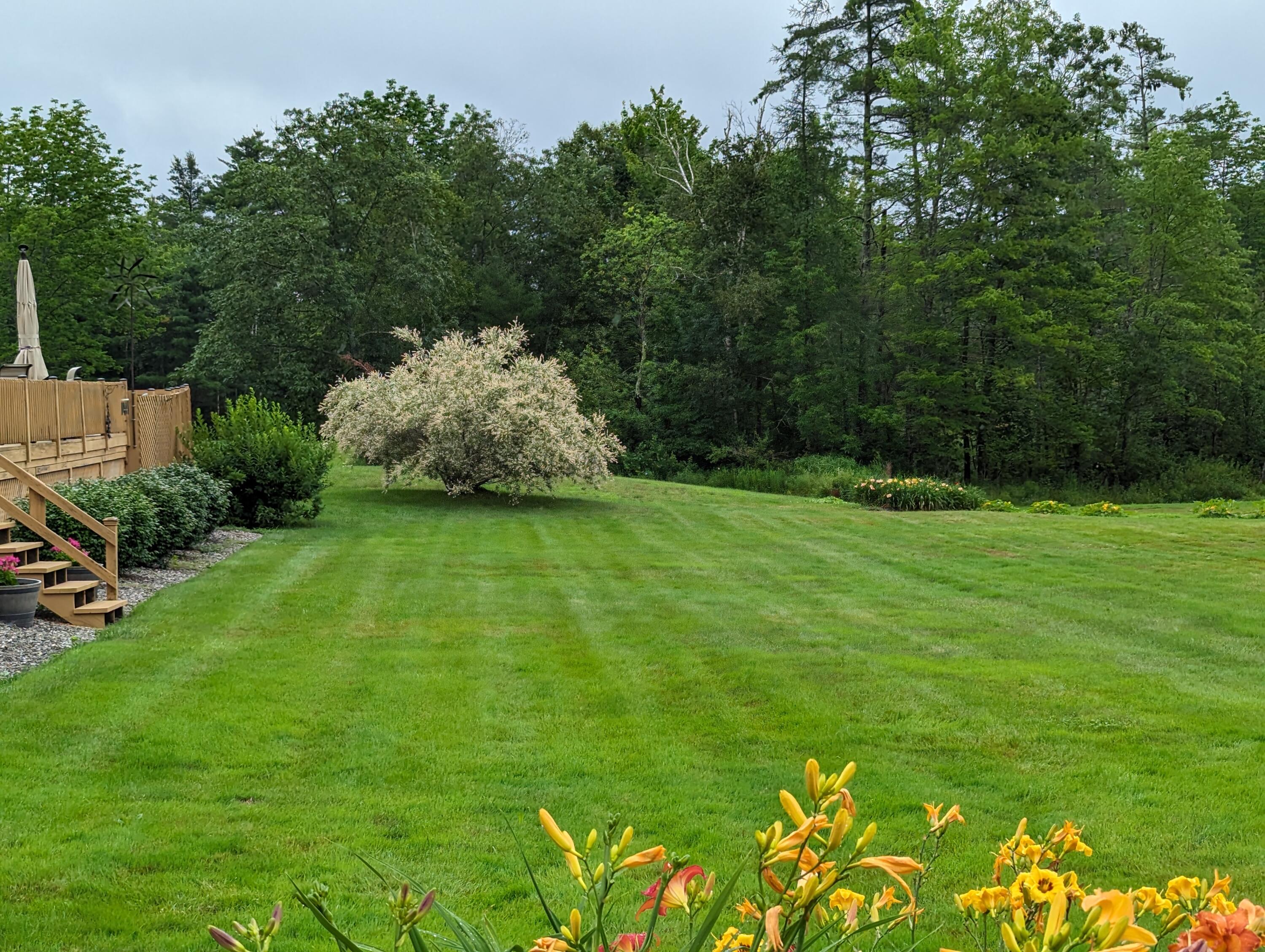 211 Waterville Road Belfast, ME 04915 - Photo 10 of 62 PXL_20230716_153744919