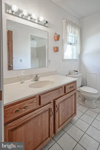 a bathroom with a sink a toilet and mirror