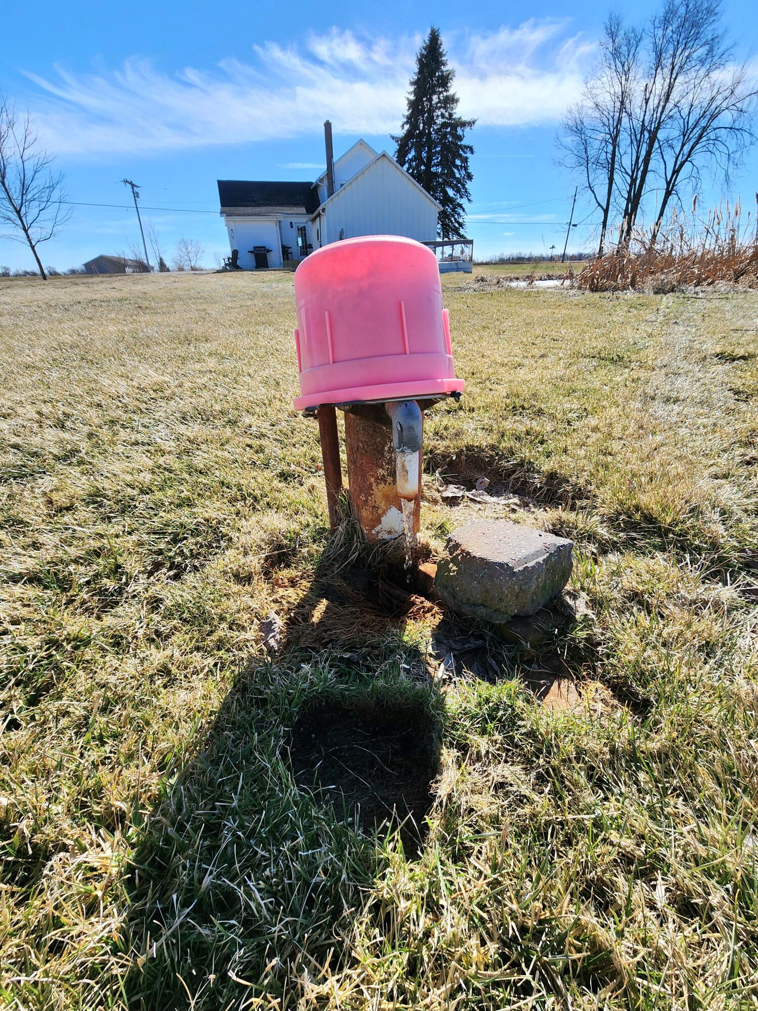 6584 Holloway Road Britton, MI 49229 - Photo 75 of 84 20260301_140839