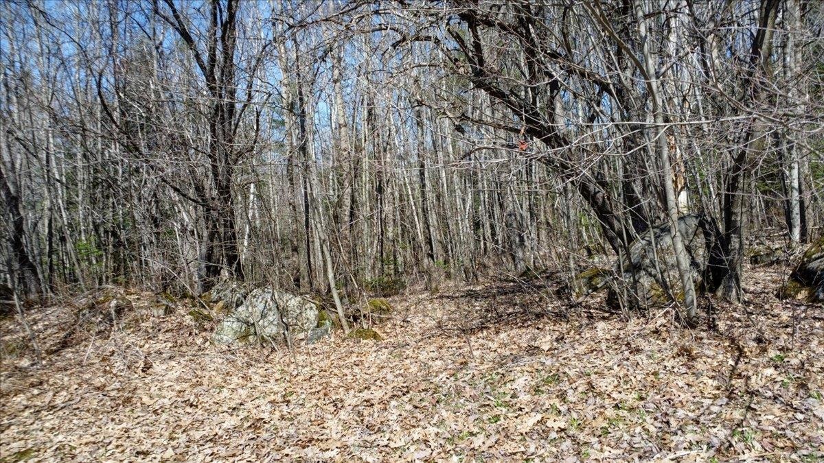 1928 West Lunenburg Road Lunenburg, VT 05906 - Photo 24 of 39