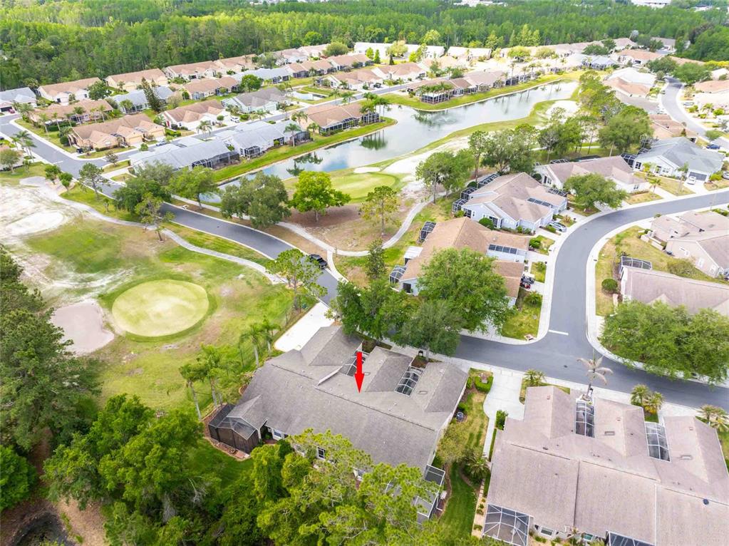 7408 Trovita Road Land O Lakes, FL 34637 - Photo 2 of 36