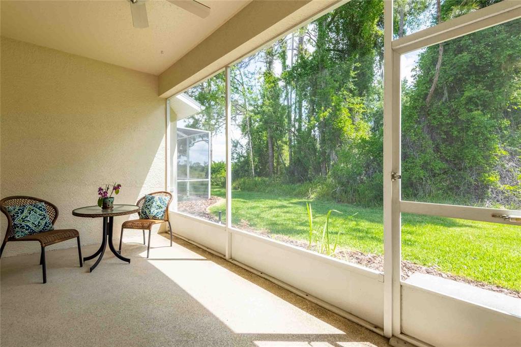 7408 Trovita Road Land O Lakes, FL 34637 - Photo 22 of 36