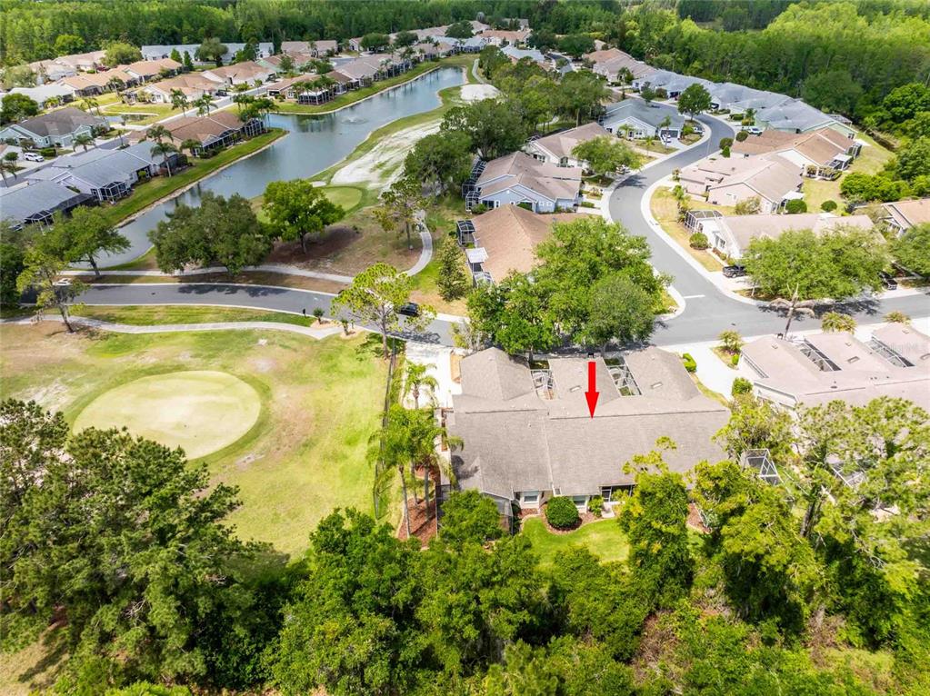 7408 Trovita Road Land O Lakes, FL 34637 - Photo 26 of 36