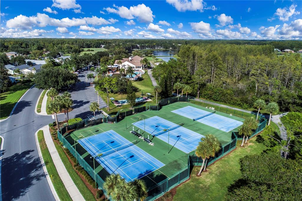 7408 Trovita Road Land O Lakes, FL 34637 - Photo 29 of 36