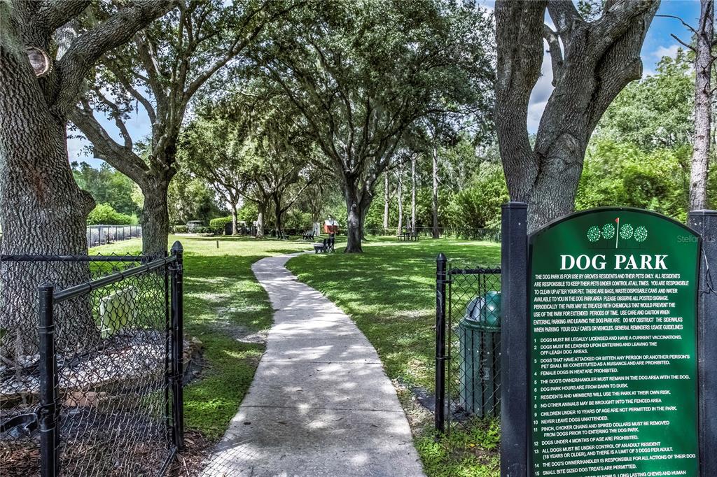7408 Trovita Road Land O Lakes, FL 34637 - Photo 34 of 36