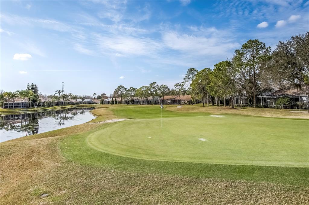7408 Trovita Road Land O Lakes, FL 34637 - Photo 35 of 36