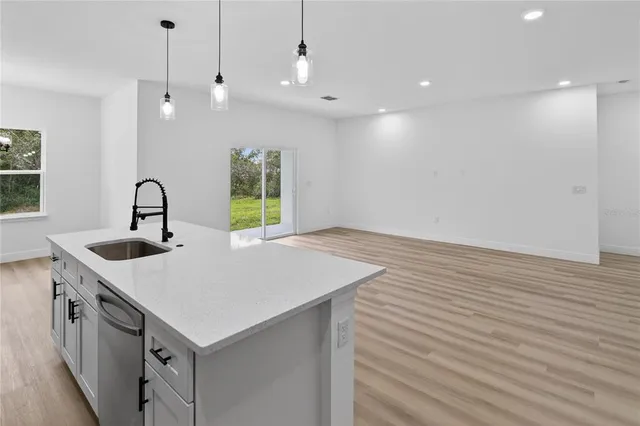 a kitchen with a sink cabinets and wooden floor