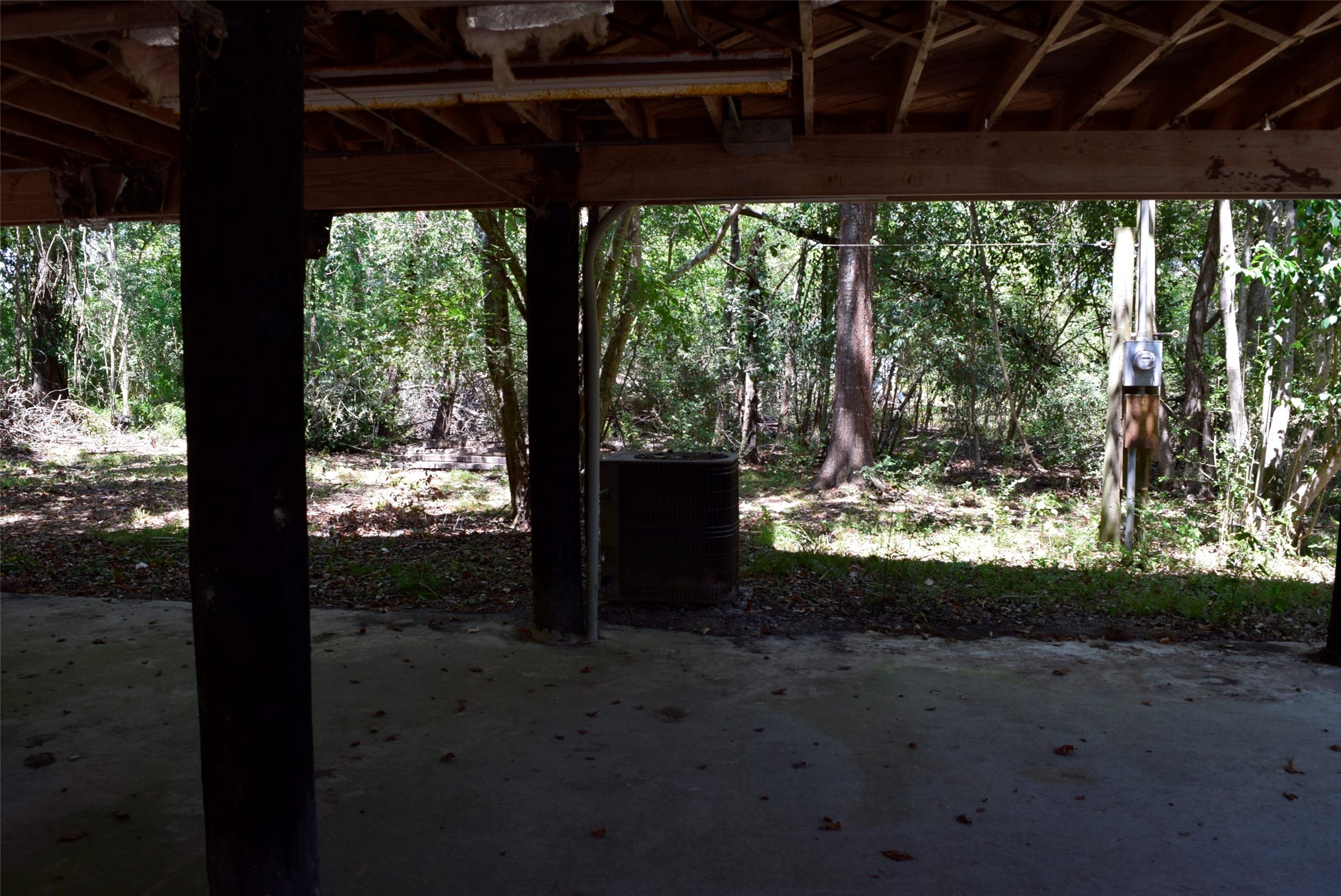 732 River Road Goodrich, TX 77335 - Photo 2 of 20 a view of backyard with large trees and plants