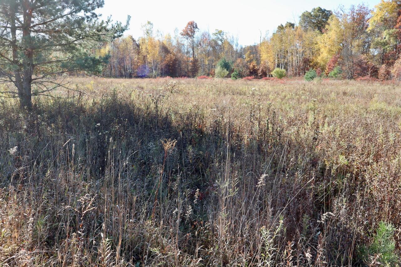 West Beamish Road Sanford, MI 48657 - Photo 17 of 27