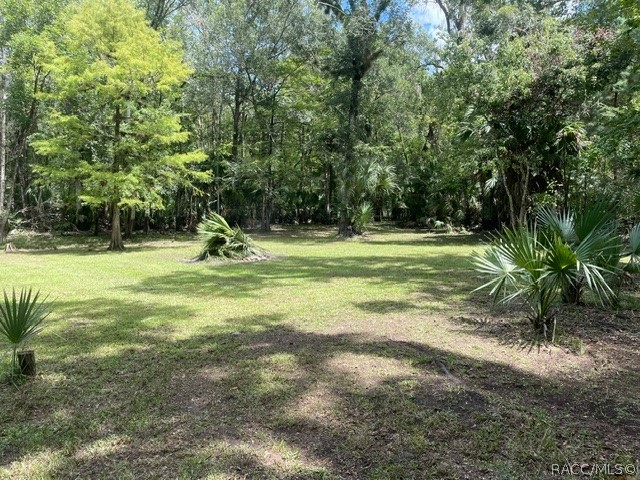 6409 East River Road Hernando, FL 34442 - Photo 11 of 50 Gallery Image 11
