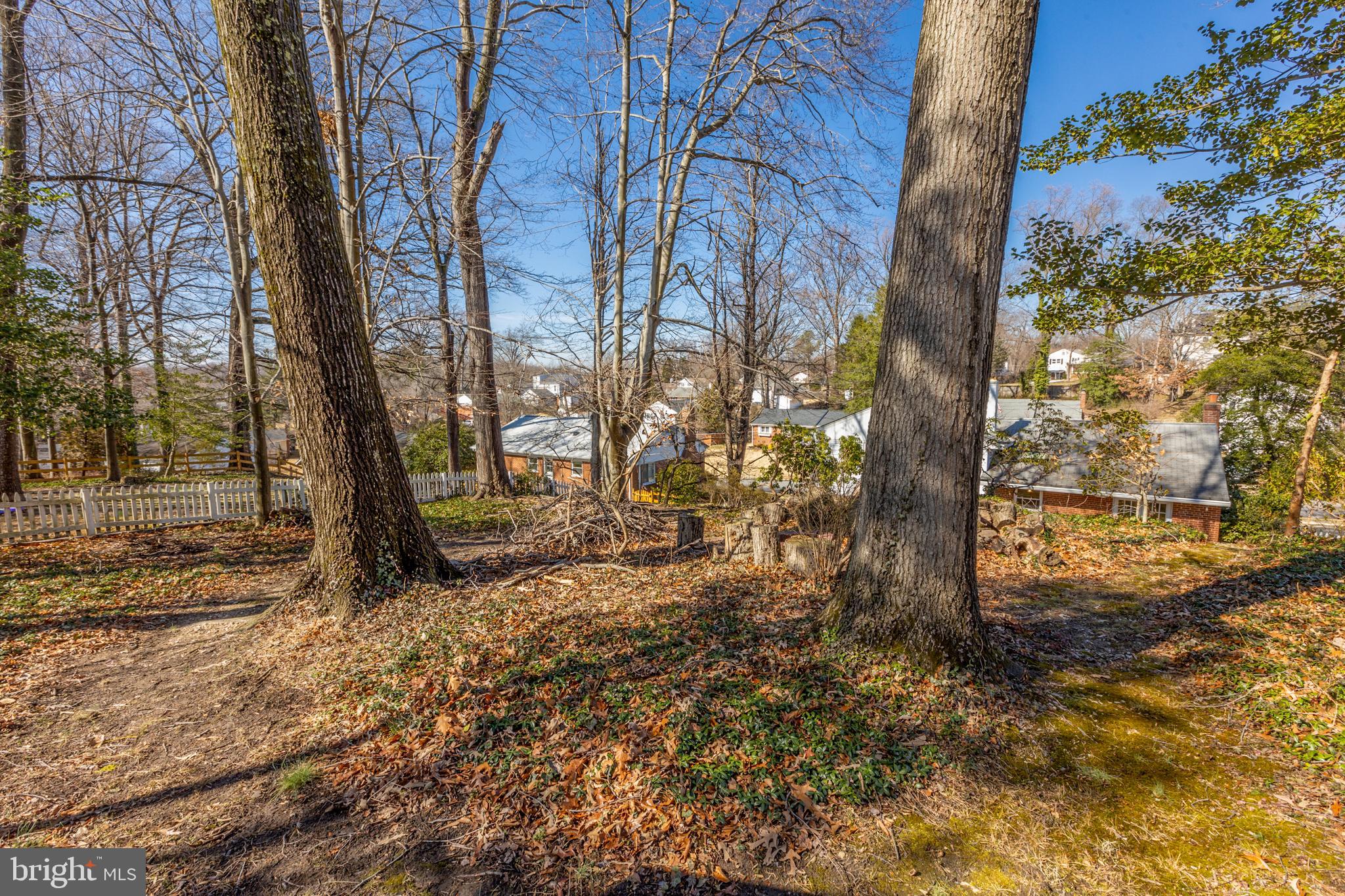 7414 Gary Street Springfield, VA 22150 - Photo 33 of 34 Gallery Image 33