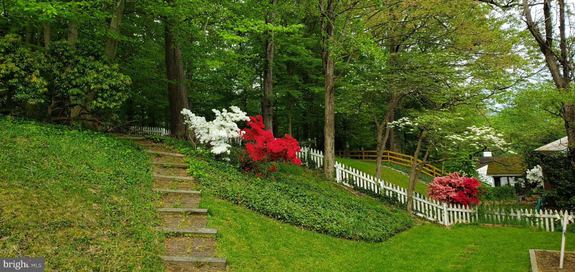 7414 Gary Street Springfield, VA 22150 - Photo 34 of 34 back yard stairs lead to upper level with fire pit