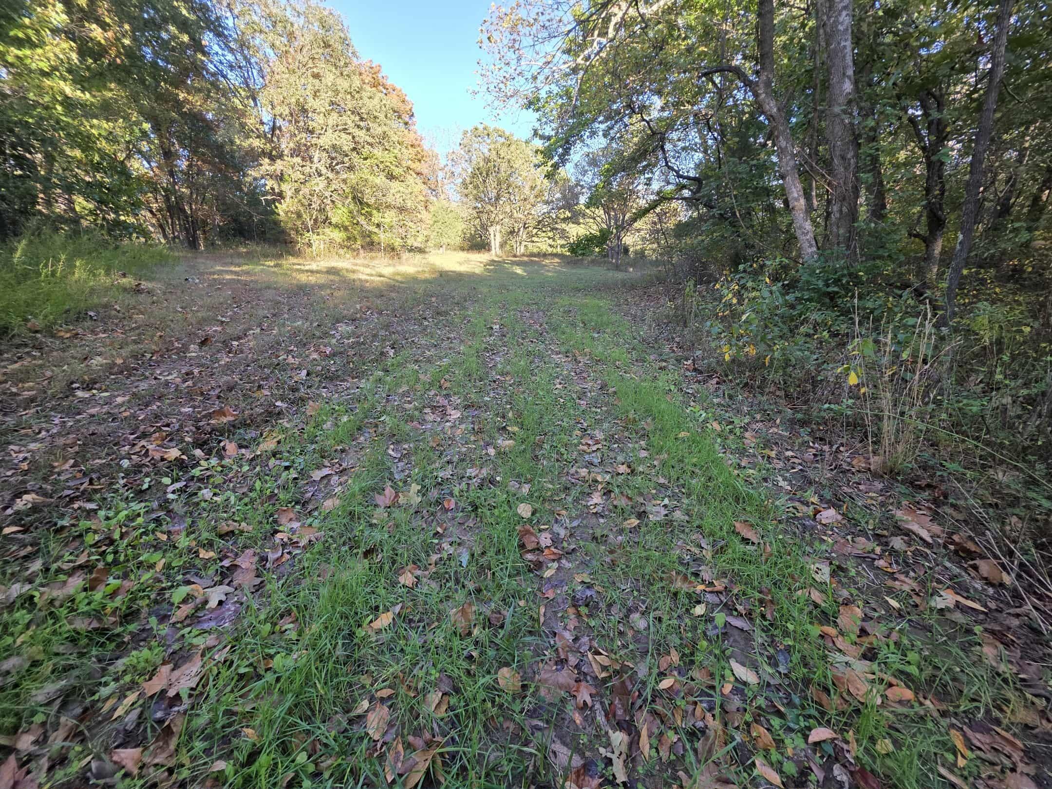 19180 East 920th Road Humansville, MO 65674 - Photo 45 of 61 a1775fba-8c55-41f3-bbe7-07ec3b5bd53d