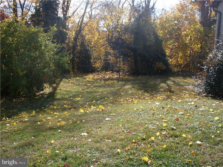 155 Ridge Boulevard Brookhaven, PA 19015 - Photo 10 of 12 Back Yard