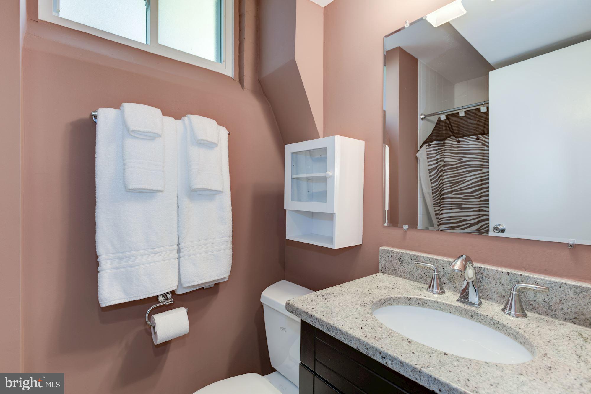 7027 Oak Ridge Road Falls Church, VA 22042 - Photo 23 of 30 Basement Bathroom