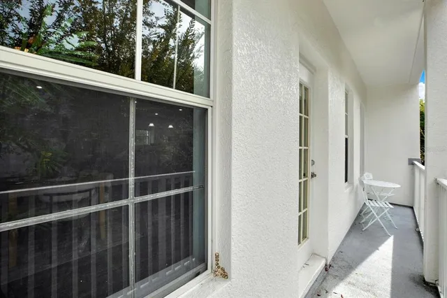 a view of a backyard with large trees