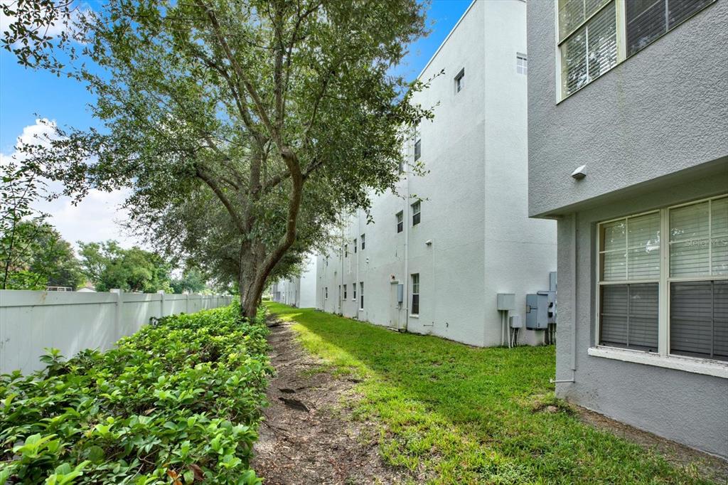 4529 Bay Spring Court Tampa, FL 33611 - Photo 44 of 66 a view of a backyard with large trees