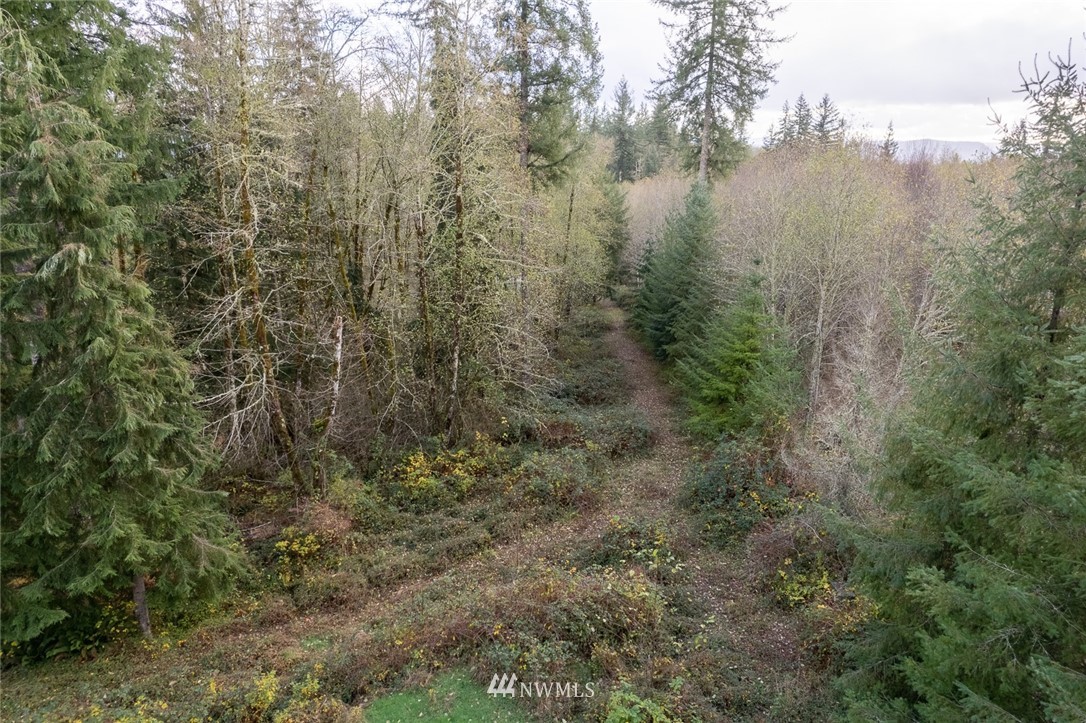 0 Justus Road Onalaska, WA 98570 - Photo 4 of 6 Gallery Image 4