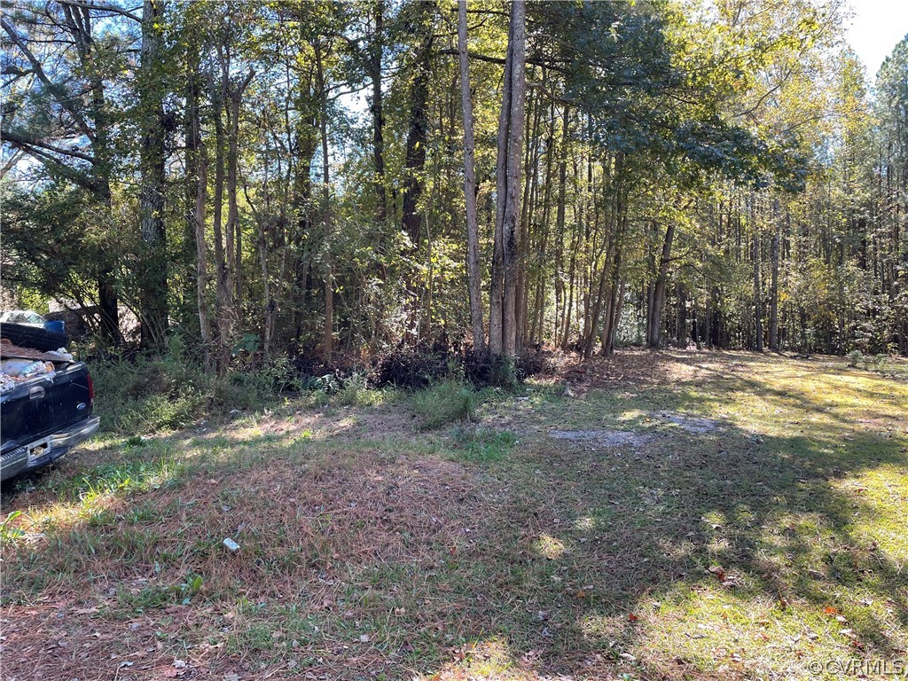 Lot 15 Reesetown Road Jarratt, VA 23867 - Photo 2 of 3 Gallery Image 2