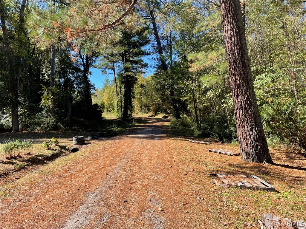 Lot 15 Reesetown Road Jarratt, VA 23867 - Photo 3 of 3 Gallery Image 3