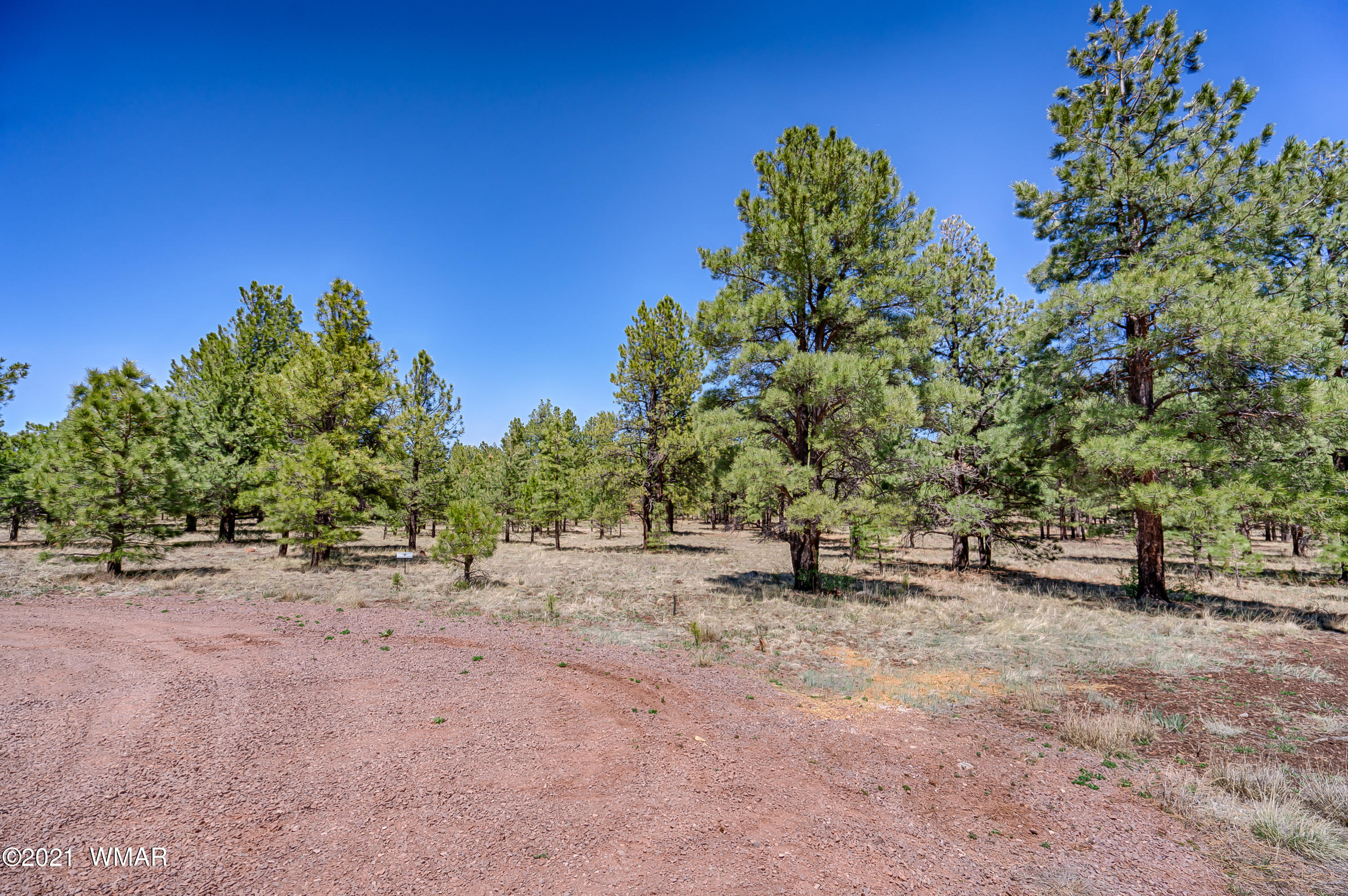 14 N1332 Greer, AZ 85927 - Photo 11 of 13