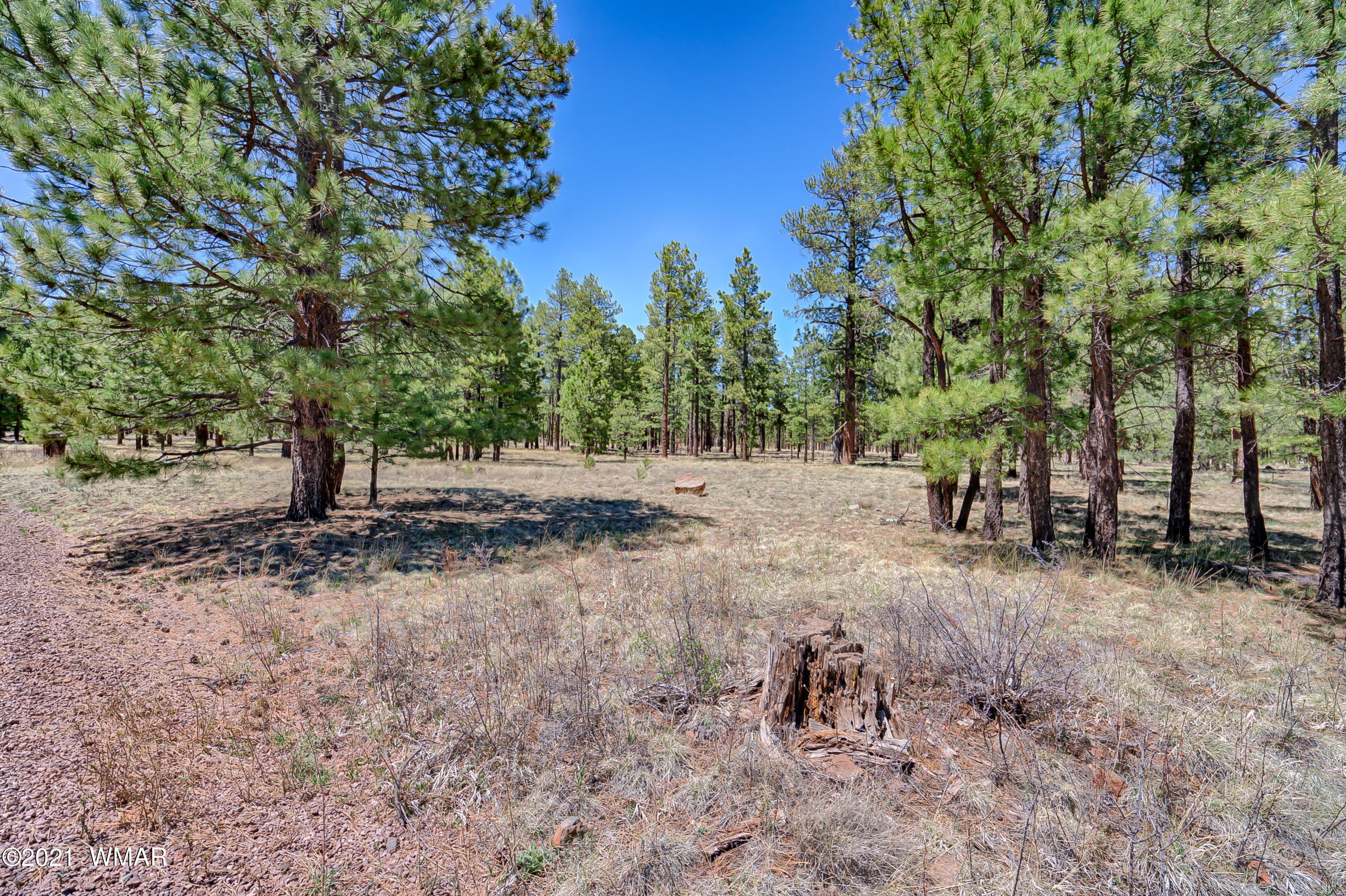 14 N1332 Greer, AZ 85927 - Photo 12 of 13