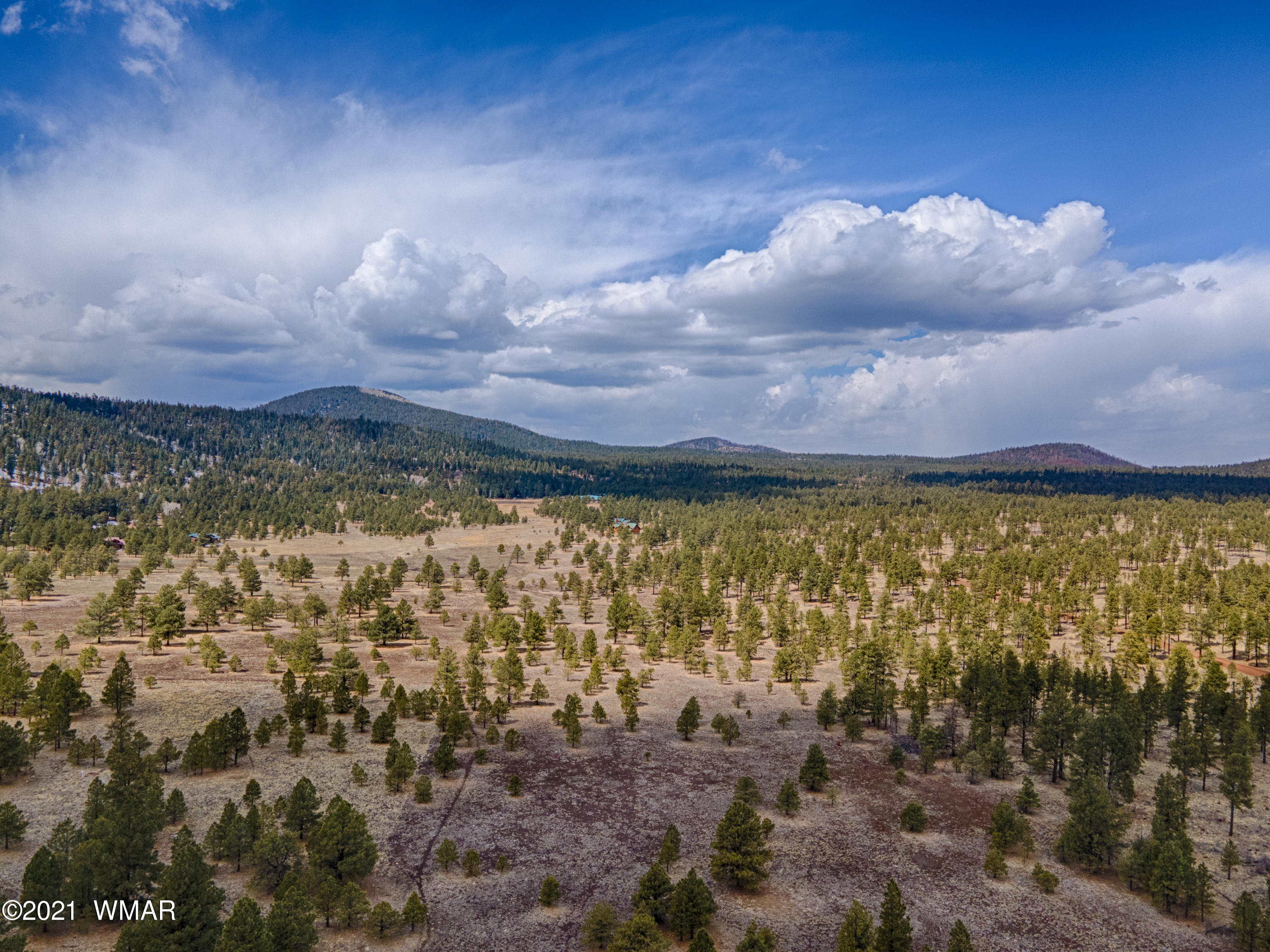 14 N1332 Greer, AZ 85927 - Photo 13 of 13