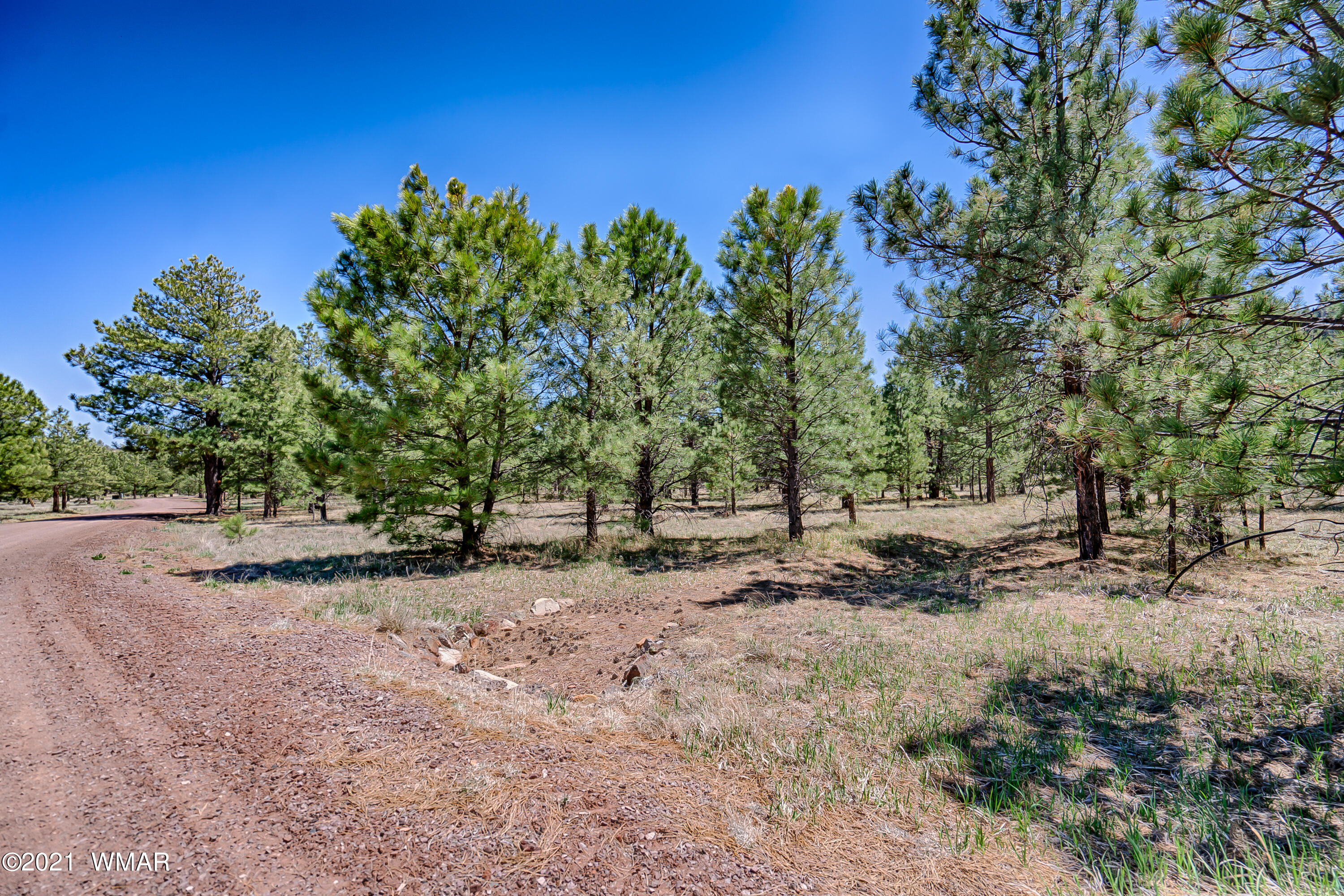 14 N1332 Greer, AZ 85927 - Photo 5 of 13