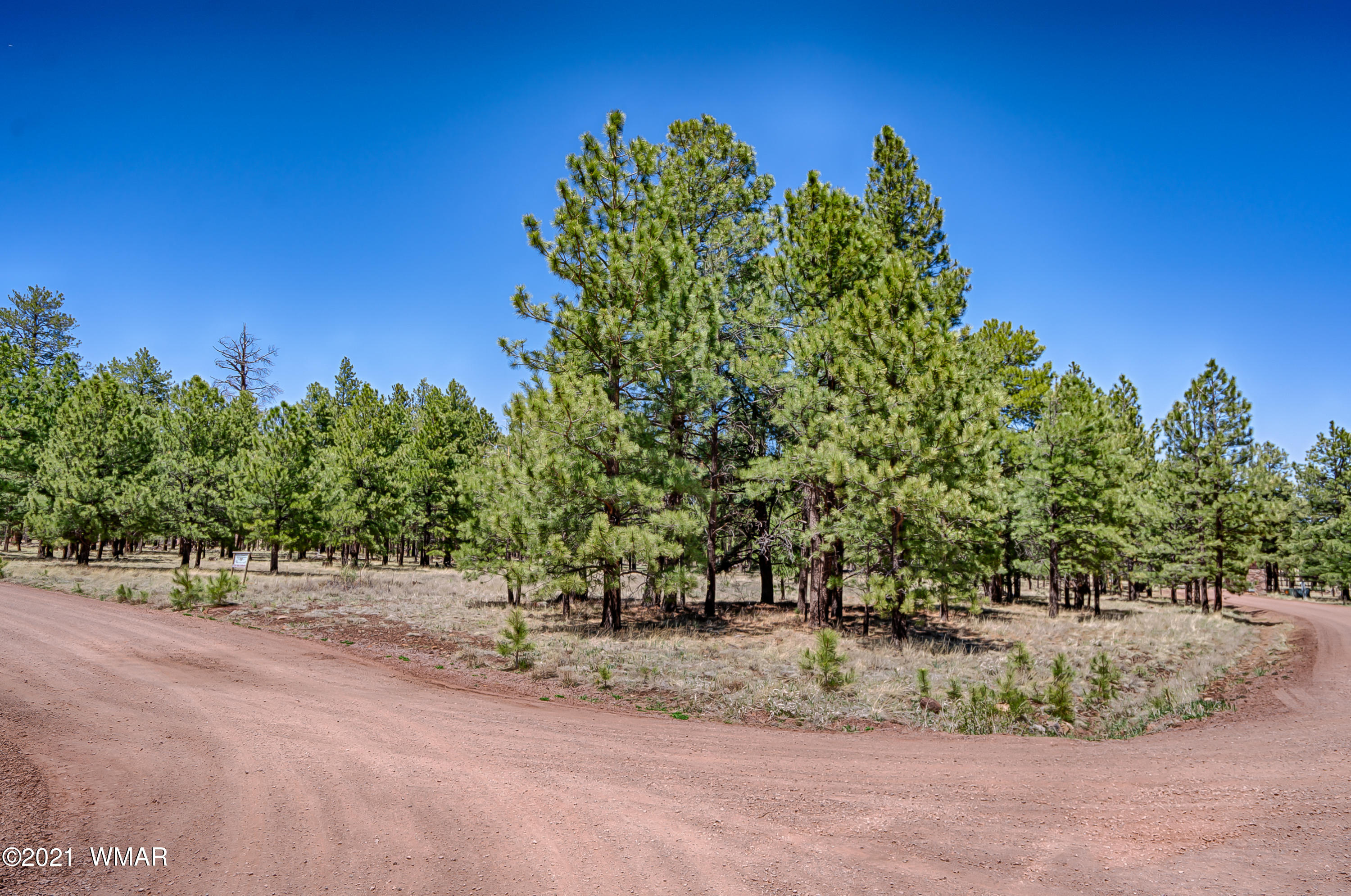 14 N1332 Greer, AZ 85927 - Photo 6 of 13